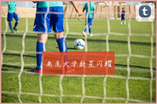 老虎大学新星闪耀