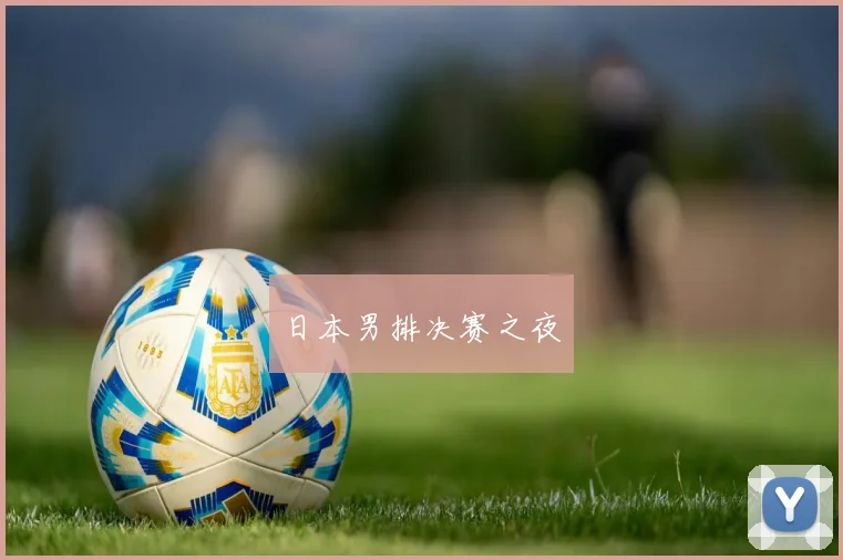 日本男排决赛之夜