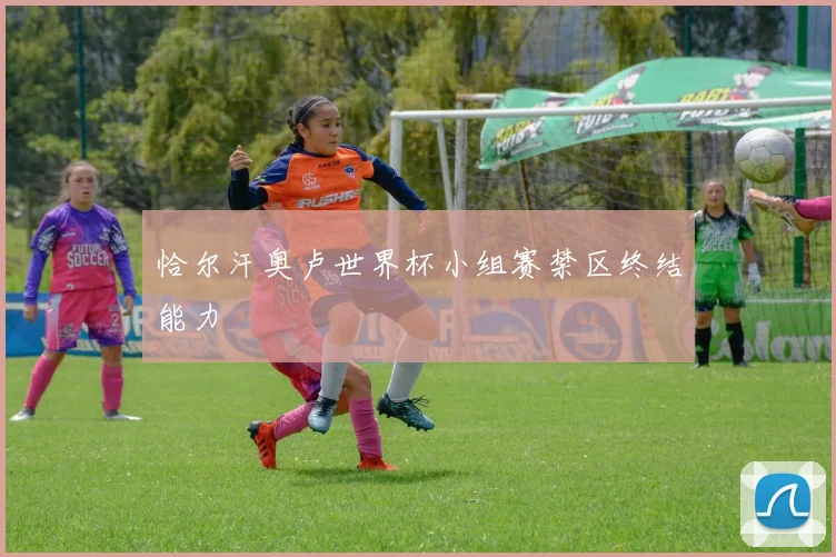 恰尔汗奥卢世界杯小组赛禁区终结能力