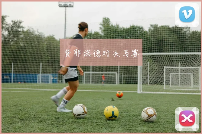 费耶诺德对决马赛