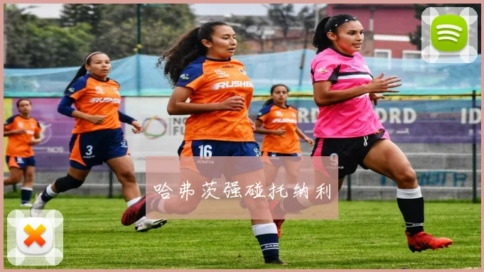 哈弗茨强碰托纳利