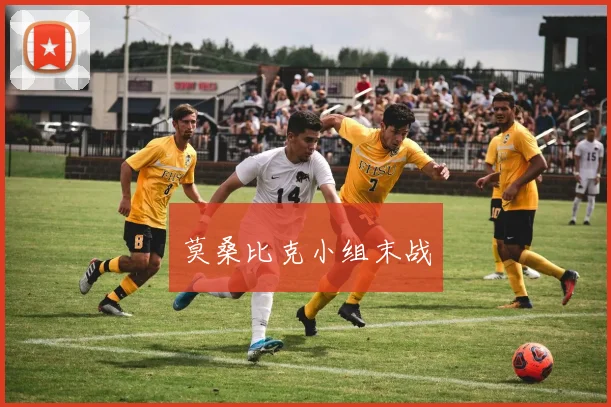 莫桑比克小组末战