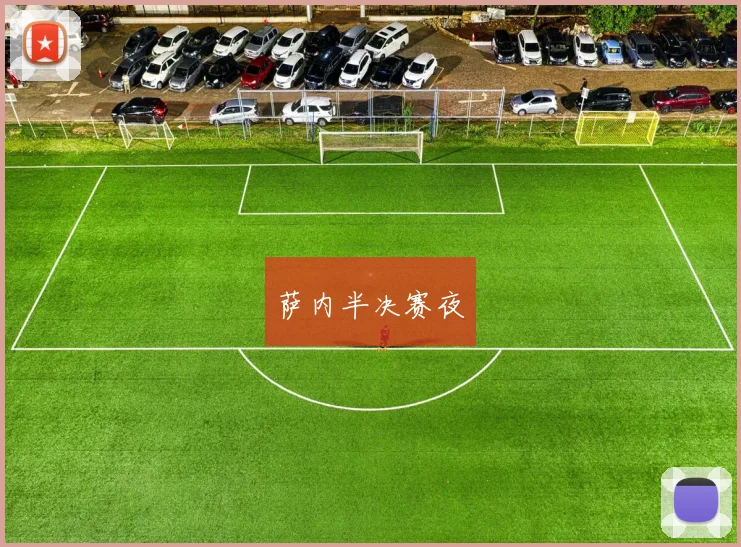 萨内半决赛夜