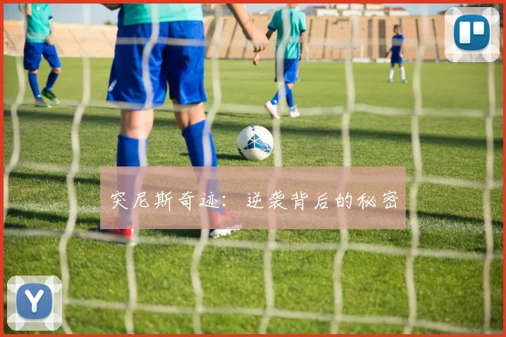 突尼斯奇迹：逆袭背后的秘密