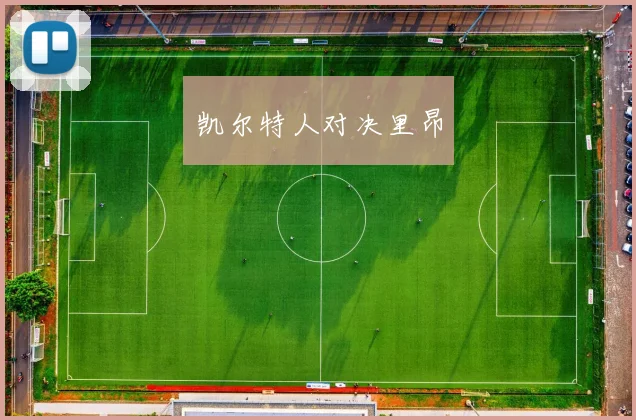 凯尔特人对决里昂