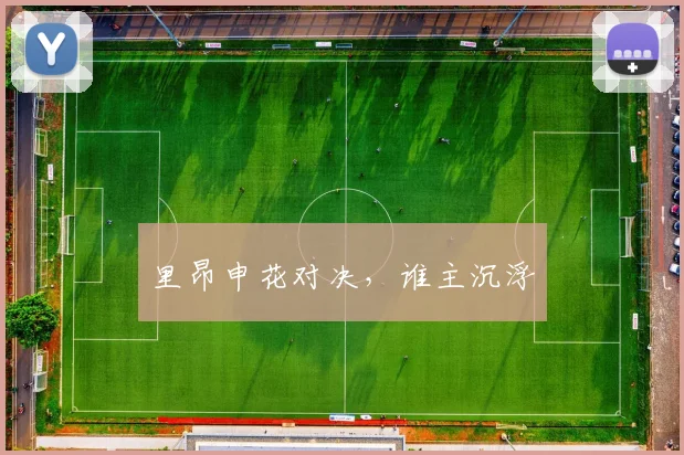 里昂申花对决，谁主沉浮