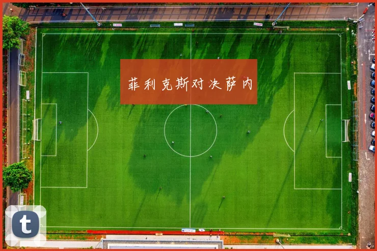 菲利克斯对决萨内
