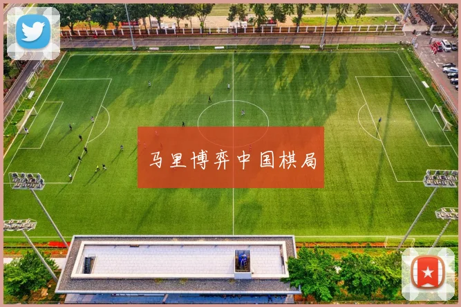 马里博弈中国棋局