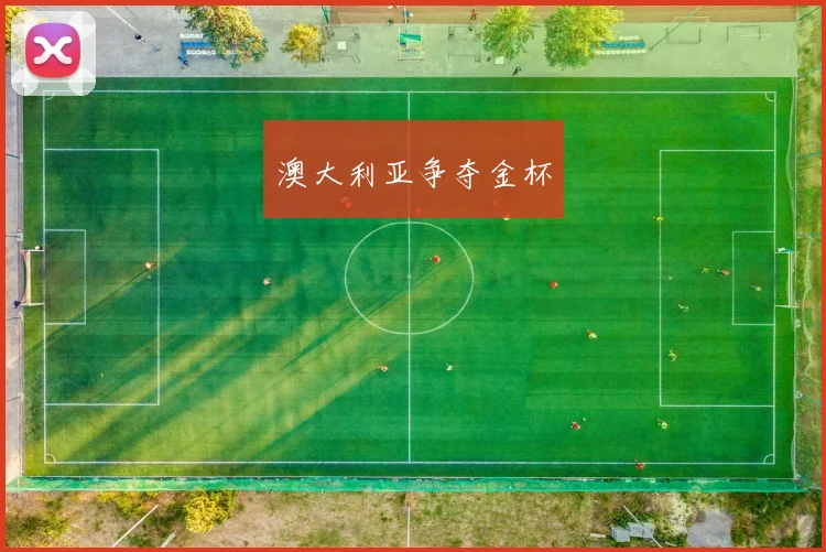 澳大利亚争夺金杯