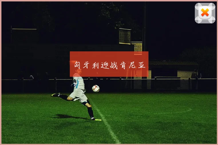 匈牙利迎战肯尼亚