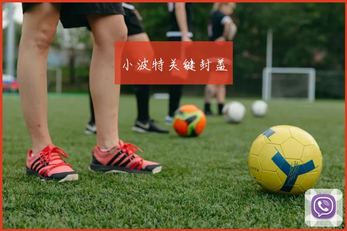 小波特关键封盖