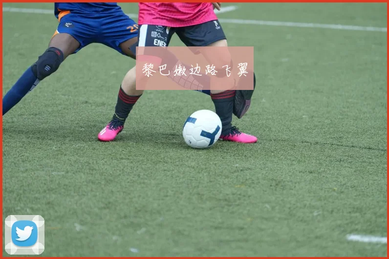 黎巴嫩边路飞翼