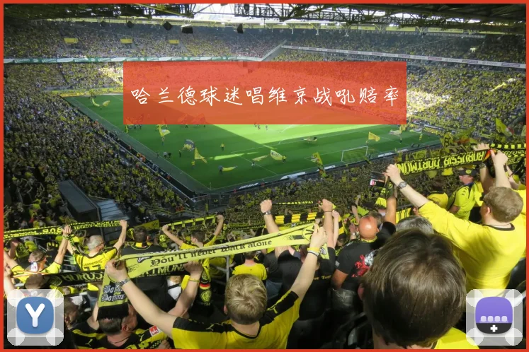 哈兰德球迷唱维京战吼赔率