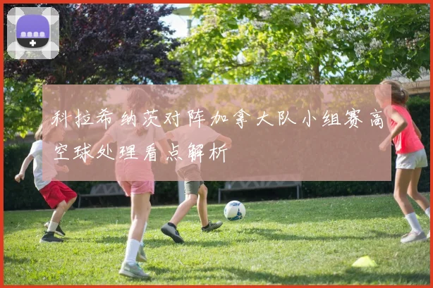 科拉希纳茨对阵加拿大队小组赛高空球处理看点解析