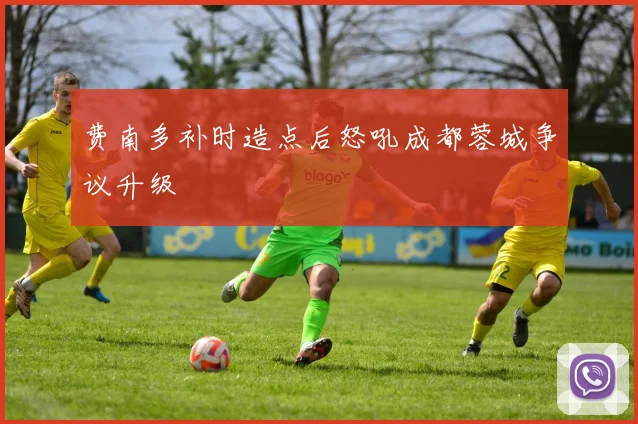 费南多补时造点后怒吼成都蓉城争议升级