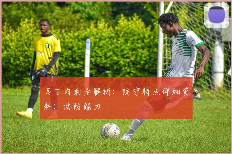 马丁内利全解析:防守特点详细资料:协防能力